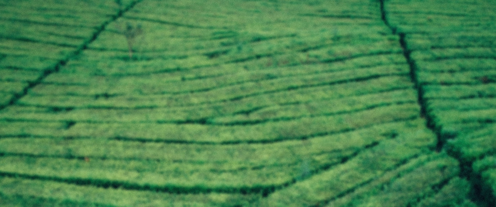 phone-background