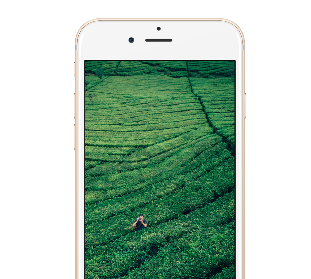 phone1-1114x1000-48048