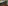 4253637181_17443bf2f1-8x6-11973
